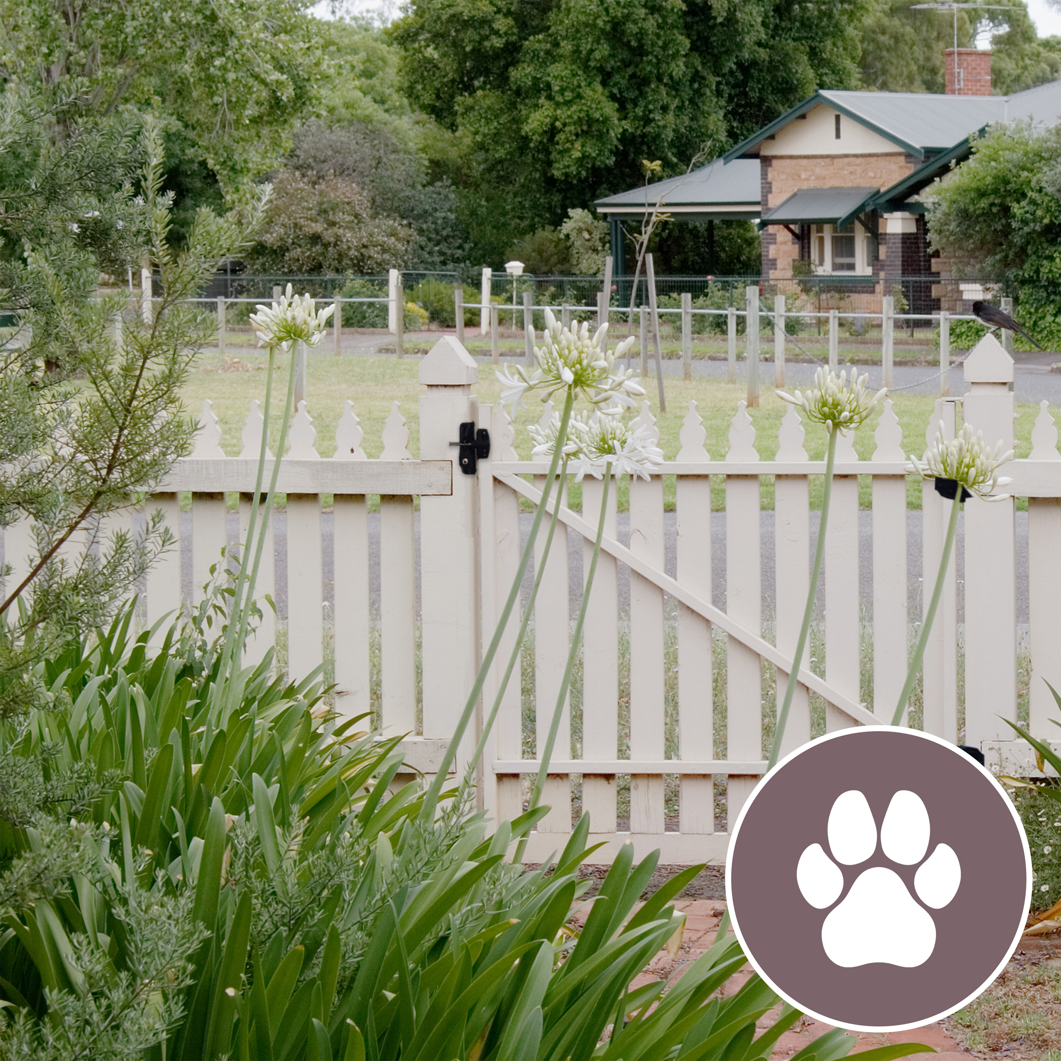 Shop Pet Gate Latches
